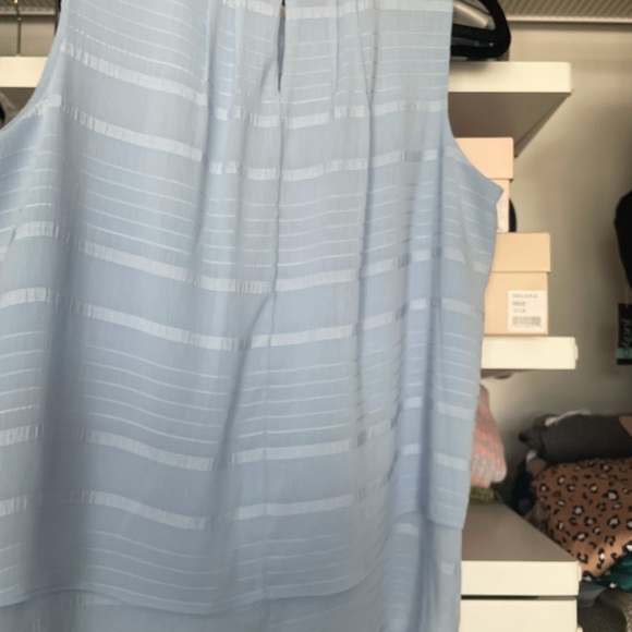 Blue shell - Picture 4 of 4